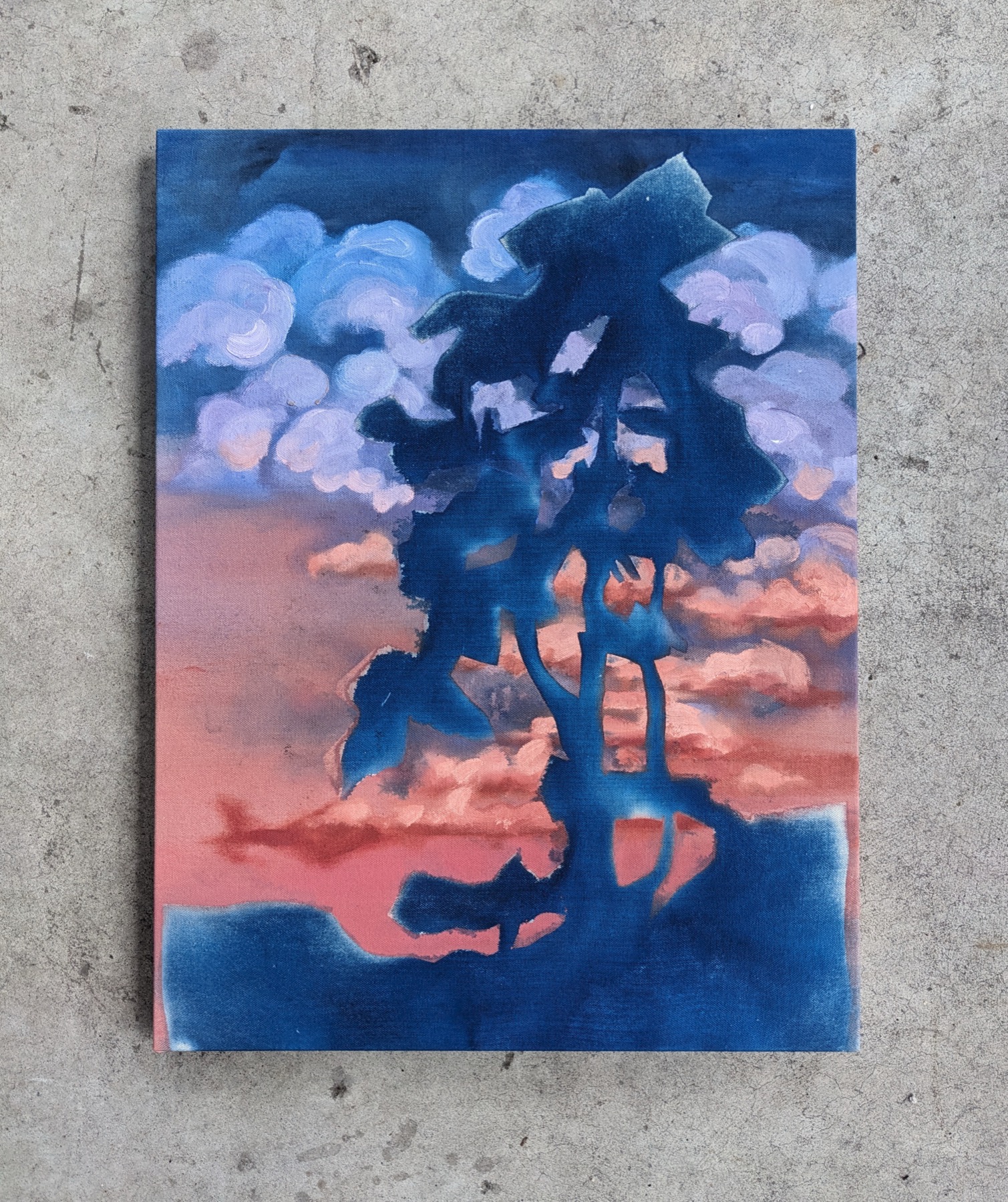 folding — cyanotypes